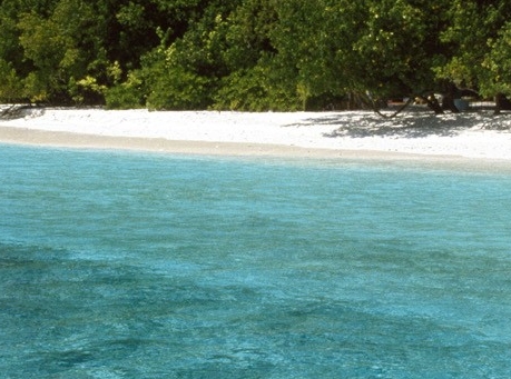 粉象生活下载app