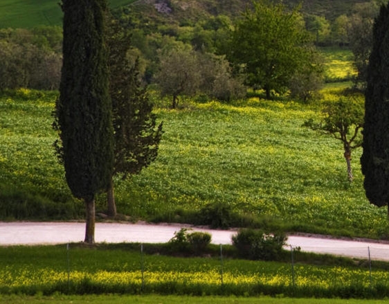粉象生活怎么解绑淘宝账号