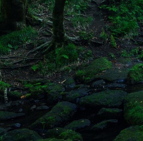 粉象生活如何删除广告
