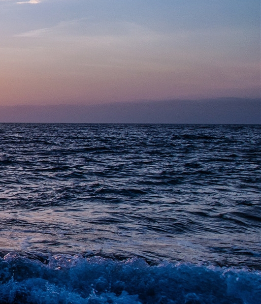 下载app粉象生活