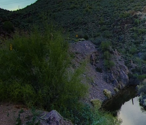 粉象生活里的水果