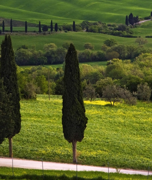 拼多多粉象生活