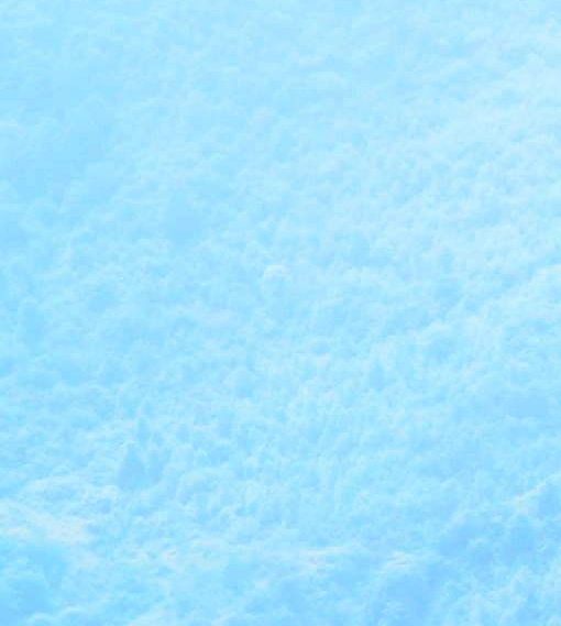 京东本地生活类目入驻