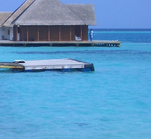 如何将手机的电粉象生活