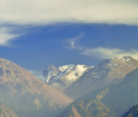 如何用粉象生活复制链接