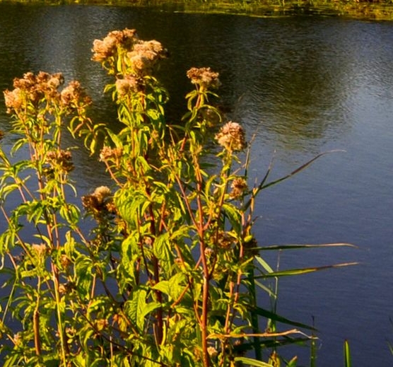 粉象生活怎么用淘宝发货