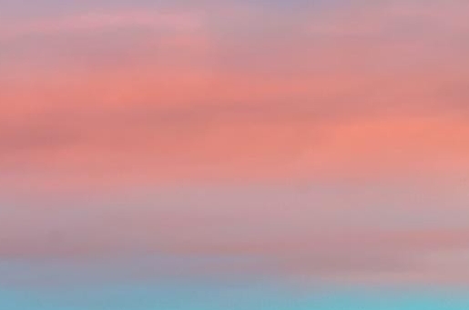 粉象生活有多少人赚钱