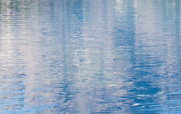 粉象生活多少积分是一元