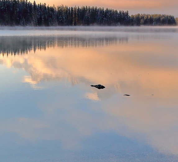 粉象生活分现金签到