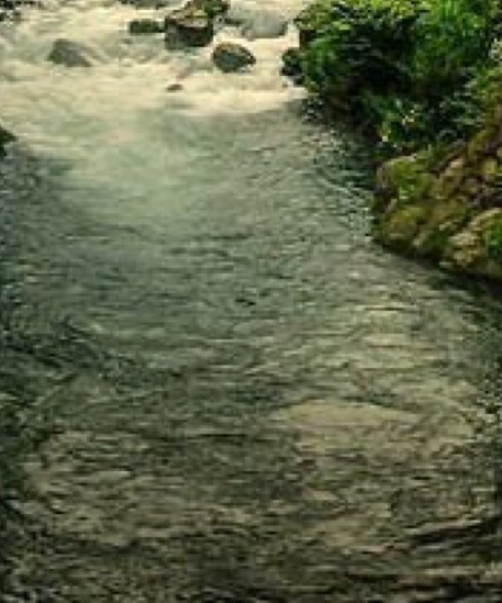 粉象生活怎么上传淘宝