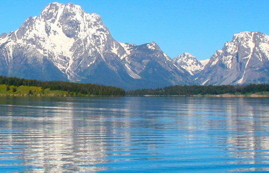 粉象生活邀请码