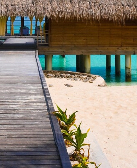 粉象生活推广人怎么收费