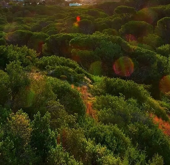 淘粉生活怎么去推广