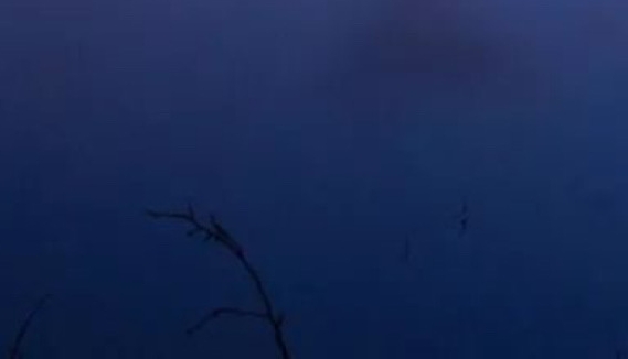 辽宁粉象生活软件