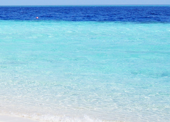 粉象生活商家版怎么用