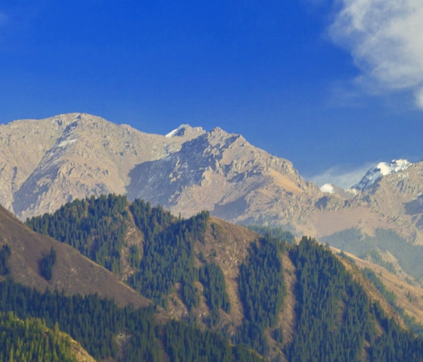 粉象生活如何解绑手机号