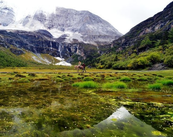 丹东粉象生活vip