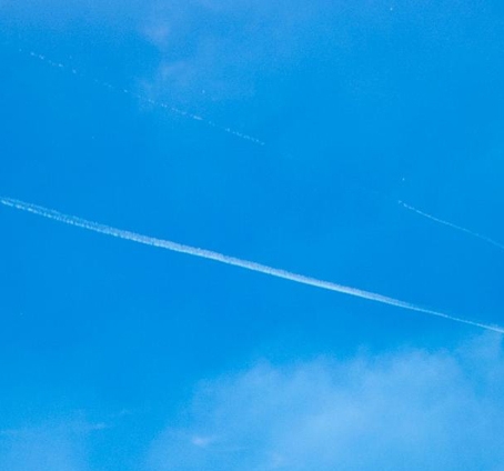 淘粉生活是违法的吗