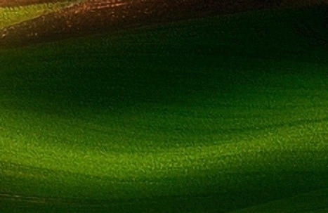 粉象生活新手怎么做