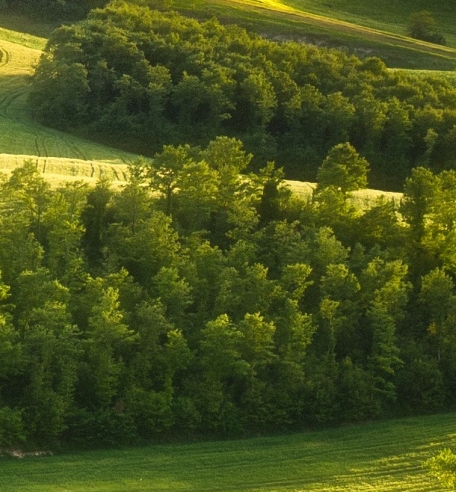 粉象生活可以赚钱吗