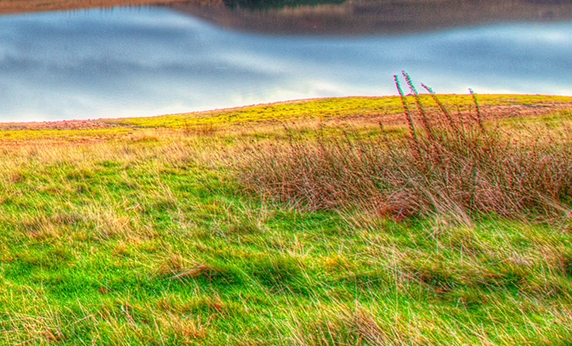 粉象生活安全不