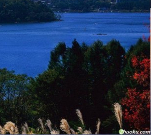 粉象生活推广引流