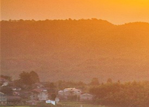 粉象生活推广一个多少钱