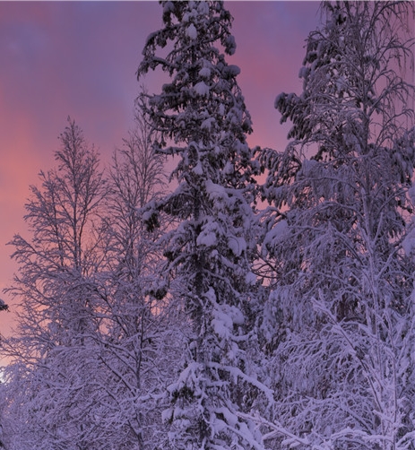 粉象生活赚钱教程