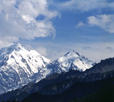 粉象生活加盟费用多少