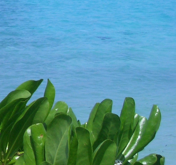 粉象生活是什么样的平台