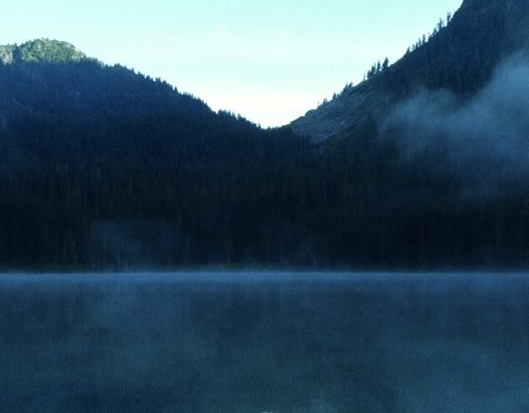 粉象生活购物返利怎么做