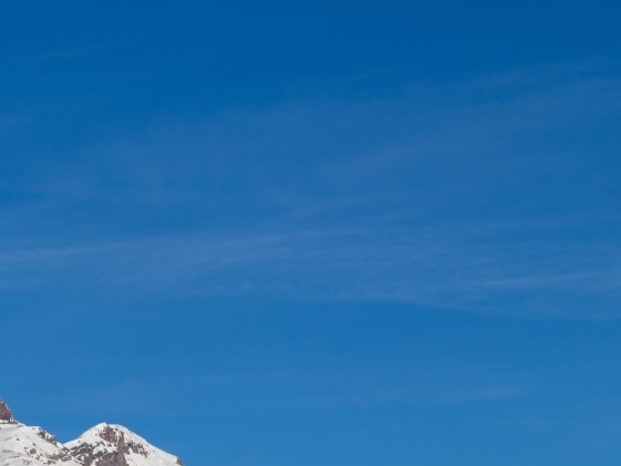 粉象生活返现多吗粉象生活