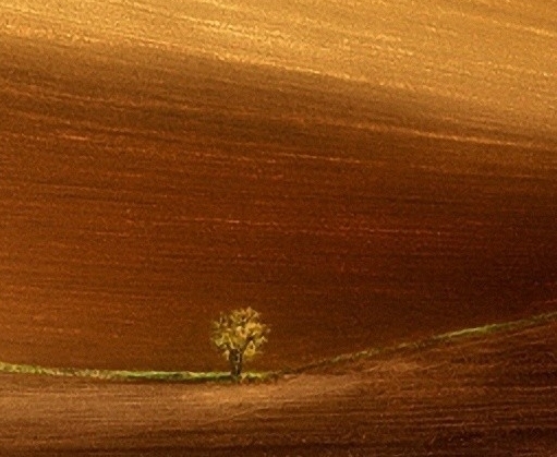 粉象生活怎么领优惠券