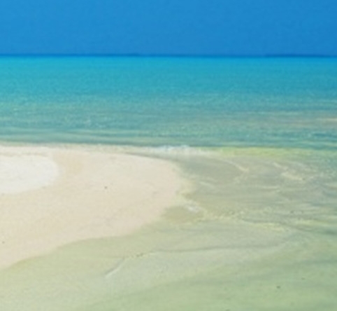 粉象生活怎么赚钱?操作一个月收入3