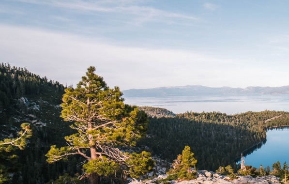 粉象生活怎么在电脑上看