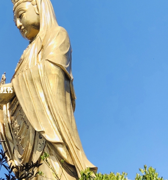 粉象生活邀请码