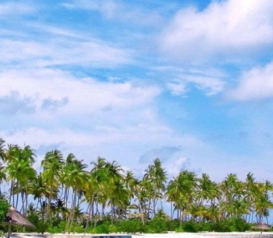 广东加盟粉象生活赚钱么