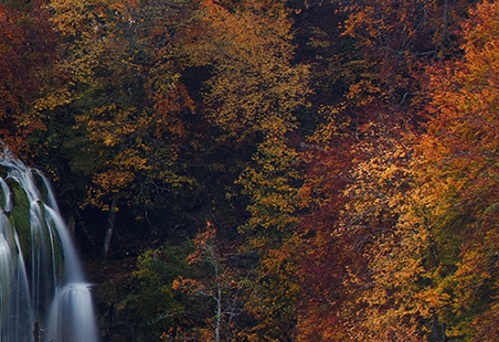 粉象生活怎么查看订单号