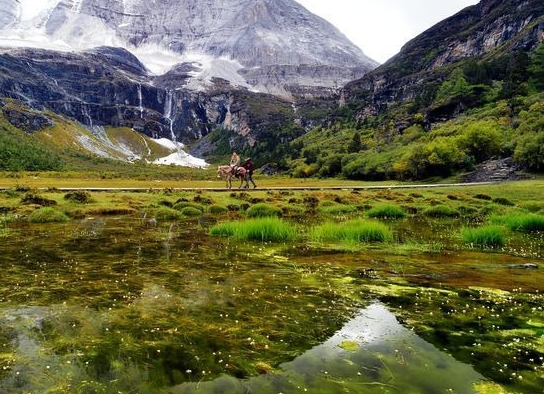 下载粉象生活怎么填写邀请码
