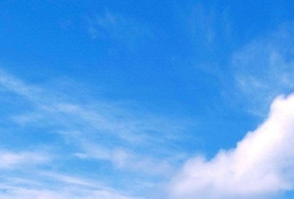 粉象生活营销战略