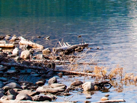 粉象生活分现金页面截图