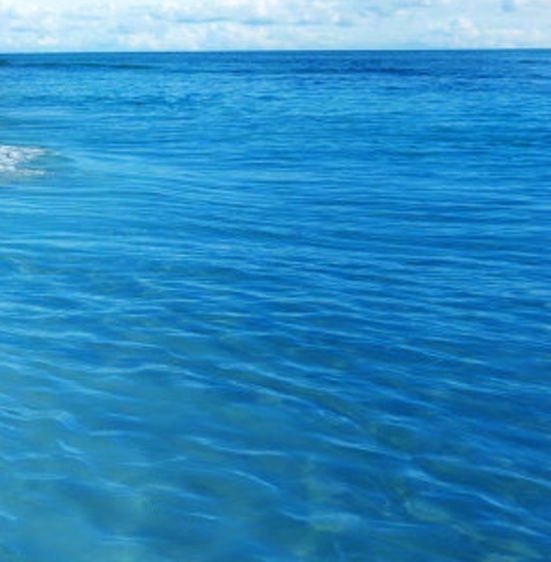 粉象生活邀请码