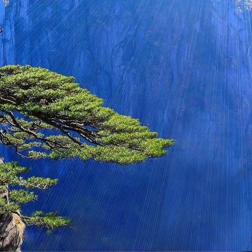 粉象生活送的皮肤怎么使用