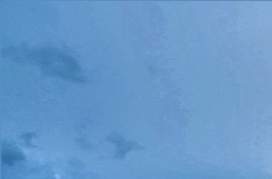 粉象生活的店铺如何开