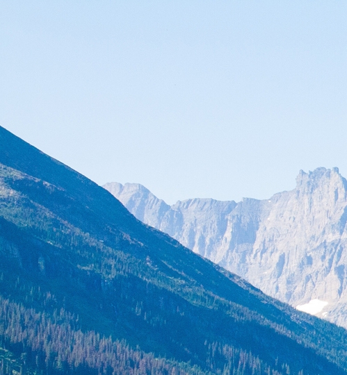 粉象生活怎么赚钱的