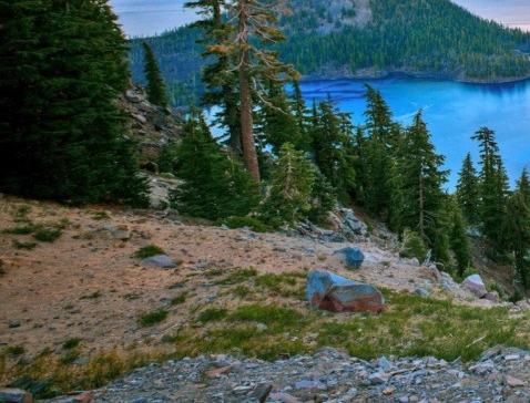 粉象生活操作视频