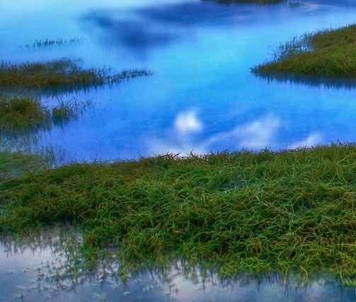 淮南虫生活时期