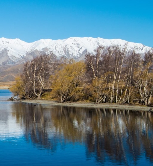拼多多卖家怎么入驻粉象生活