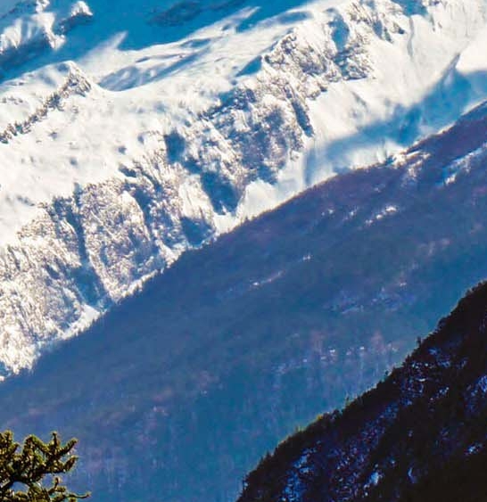 粉象生活哪个软件好用