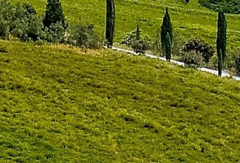 某咸鱼的悠闲生活